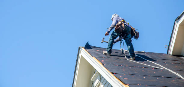 Best Roof Gutter Cleaning  in Gallipolis, OH